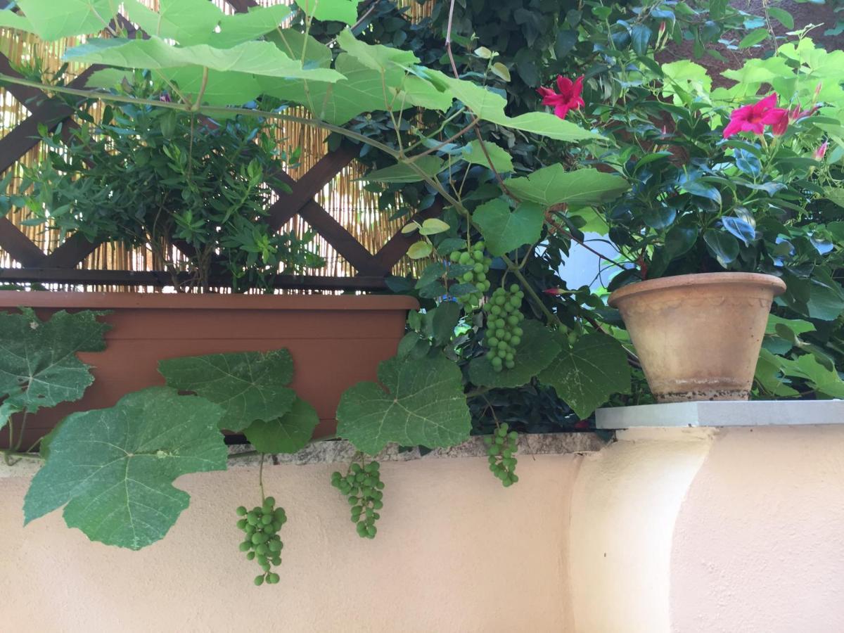 Testaccio Historic House Rome Buitenkant foto