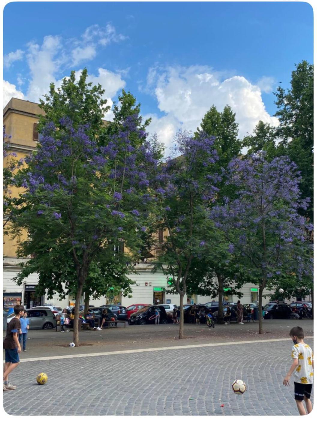 Testaccio Historic House Rome Buitenkant foto